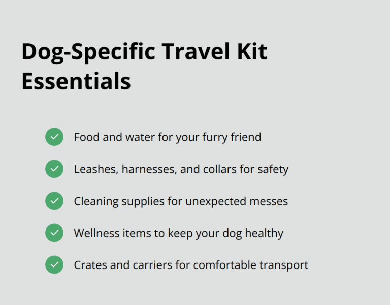 How to Travel Safely with Your Dog in the Car – The Dogington Post