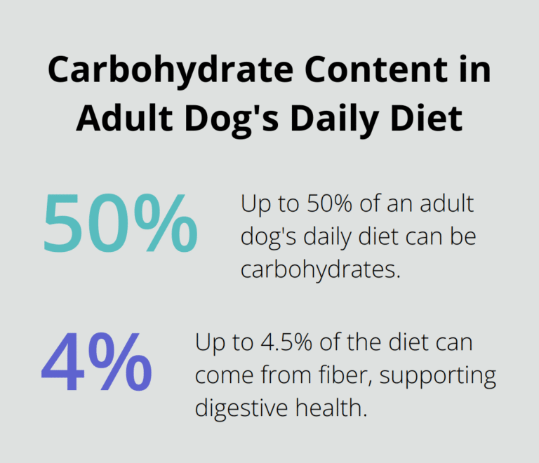 How to Keep Your Dog Happy and Healthy – The Dogington Post
