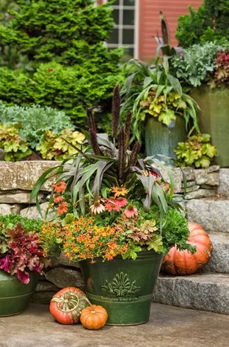 Seeds For Container Gardening