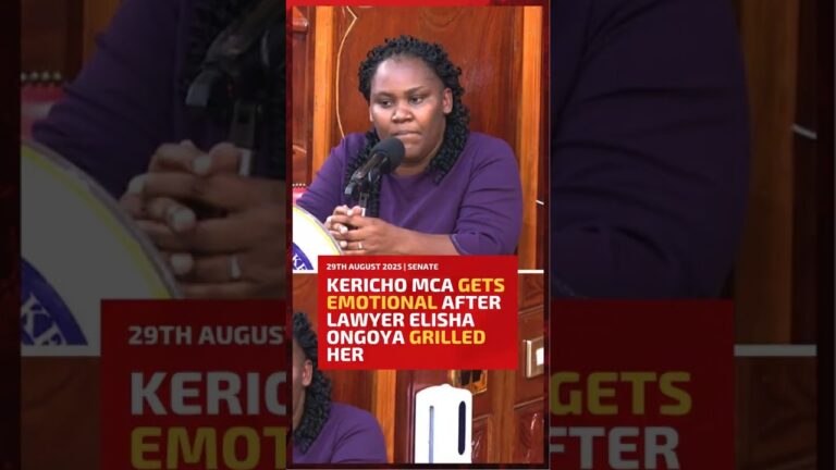 Kericho MCA gets emotional during cross-examination with Lawyer Elisha Ongoya Mushenee