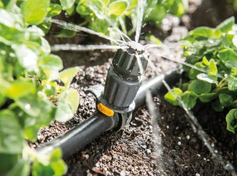 7 Best Options for an Automatic Plant Watering System