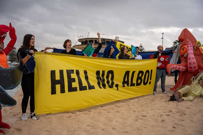 Albanese Government’s climate credibility is hanging by a thread