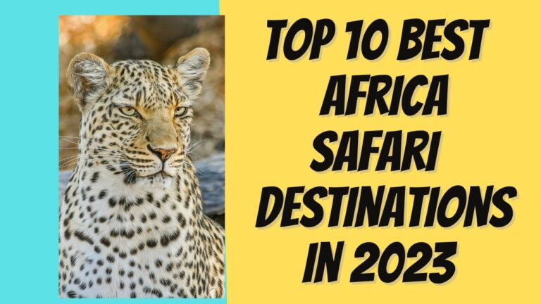 Top 10 Africa Safari Destinations in 2024 According to Experts