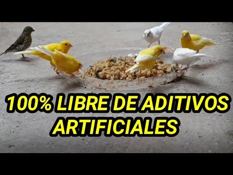 ✅SUPLEMENTO ENERGÉTICO NATURAL💪….PROPIEDADES Y ELABORACIÓN