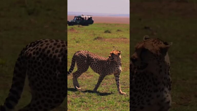 Africa Destinations – Kenya!