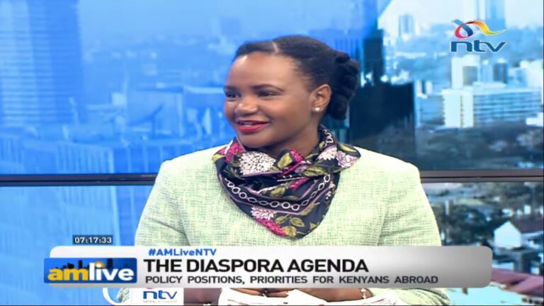 Diaspora PS Njogu: How govt seeks to secure Kenyans seeking jobs abroad | AM Live Mushenee