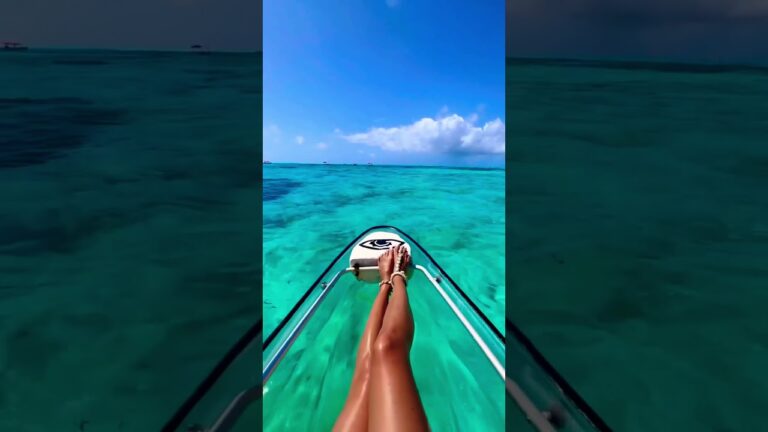 5 seconds In Zanzibar 🦒