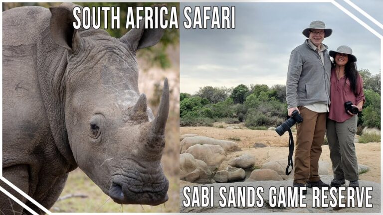 South Africa Safari Adventures!!