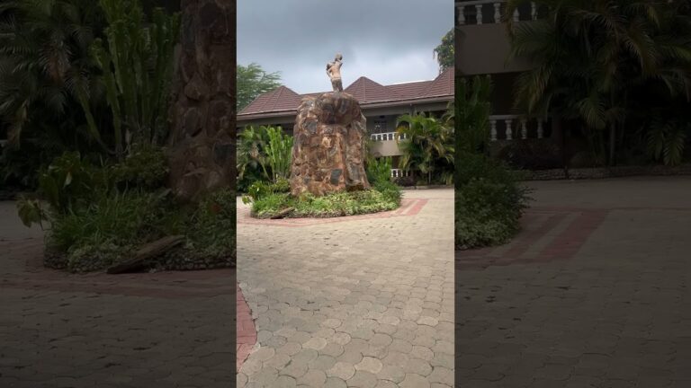 COMFORT GARDENS SWEETWATERS NEAR OL PEJETA #travel #vlog #africa #hotel #nanyuki  #kenya