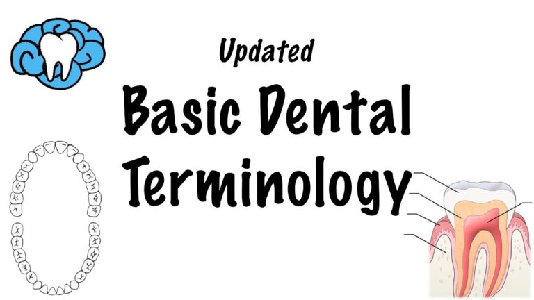 Basic Dental Terminology – UPDATED