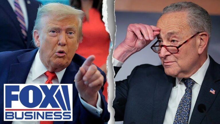 'EMBARRASSING': Schumer's 'silly' offer to avoid government shutdown revealed