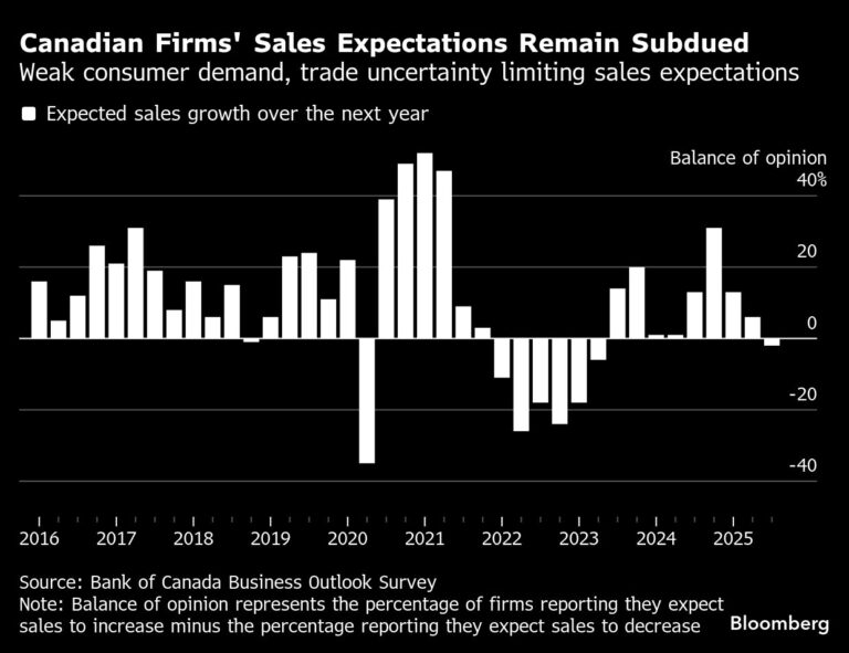 Bank of Canada survey shows firms can’t shake trade angst