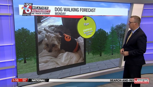 Dog walking forecast 10.13.25
