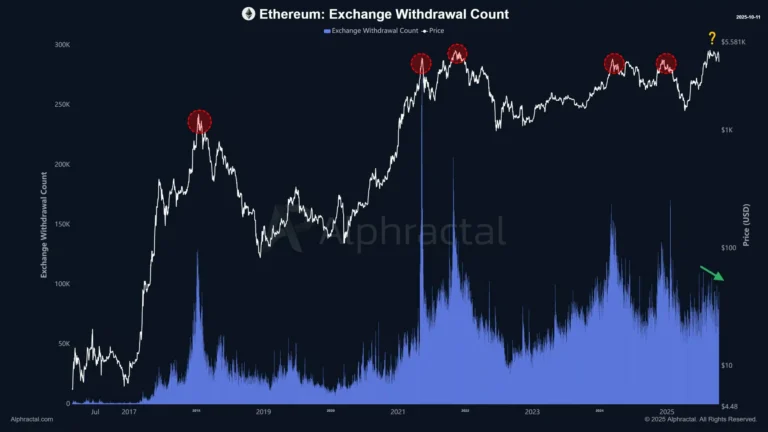 Navigating a market crash: A guide for long-term HODLers