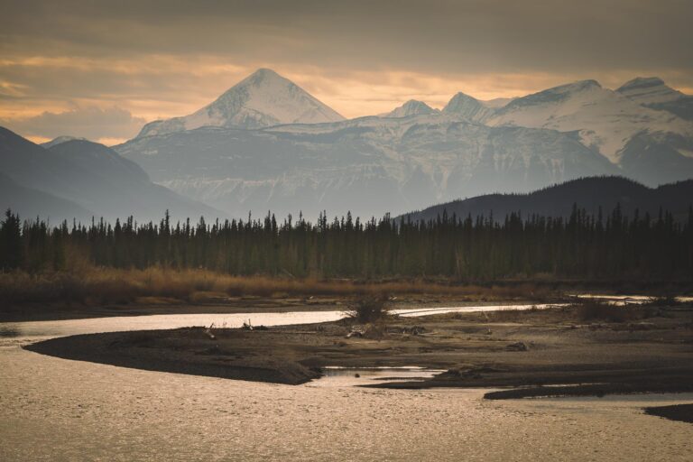 14 Best Hikes in Jasper National Park – Alberta Canada