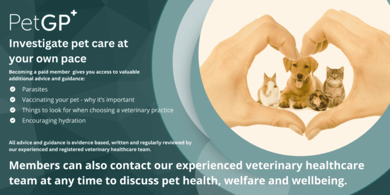 Storage mites  – Pet GP