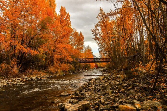 autumn-trail-2021-10-29-17-04-10-utc.jpg