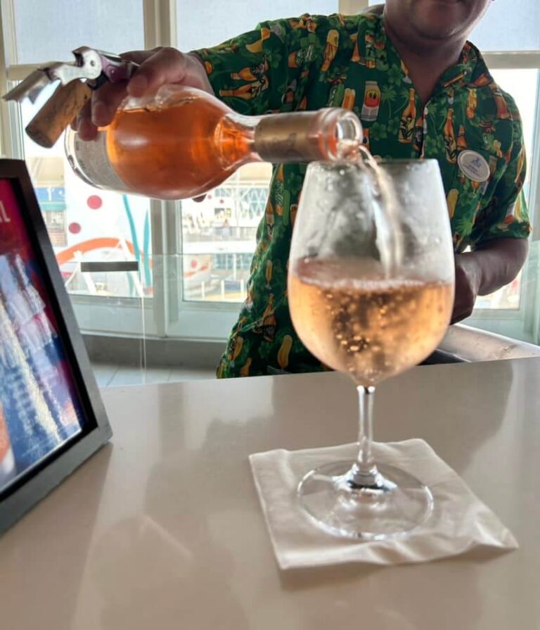 $900 a Day in Tips? What a Former Carnival Bartender’s Claim Really Means