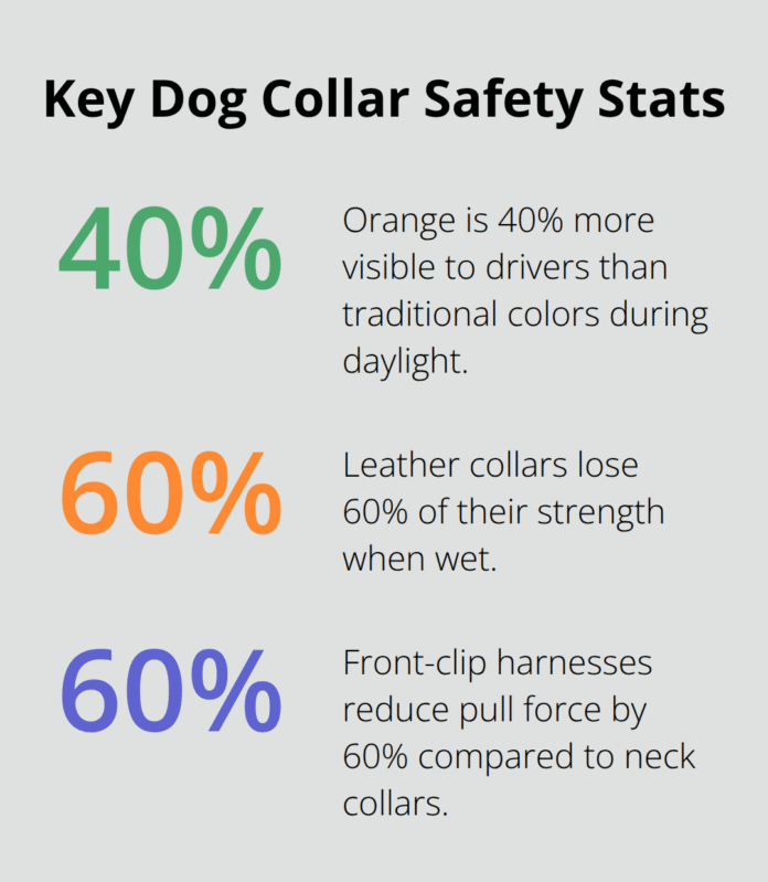 dog-collar-safety-strap-infographic-1-1761516477.png