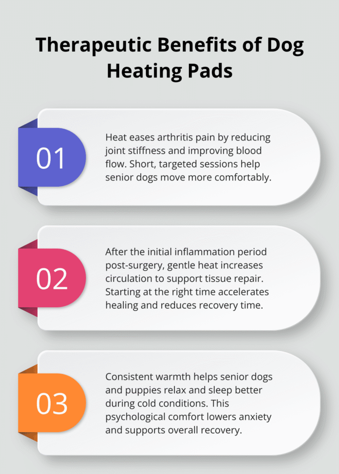 dog-heating-pad-safety-infographic-1-1761430179.png