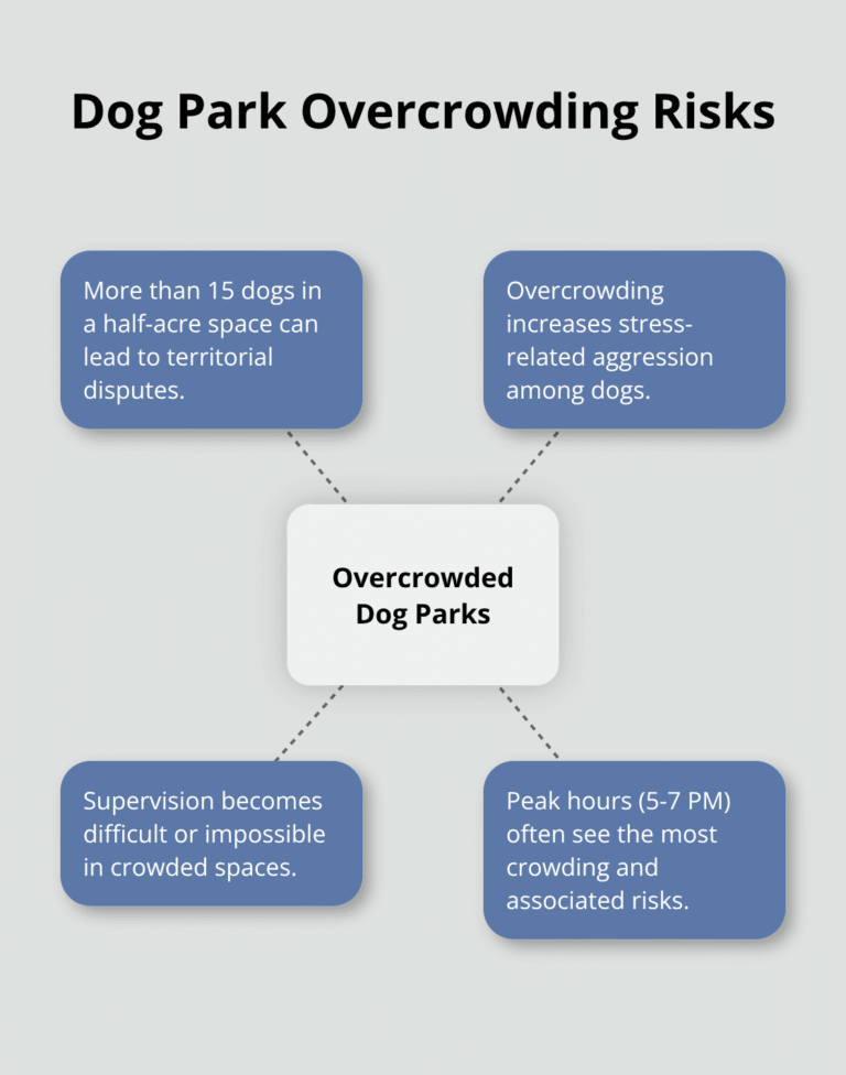 Is Your Dog Park Safe? A Guide for Pet Owners – The Dogington Post