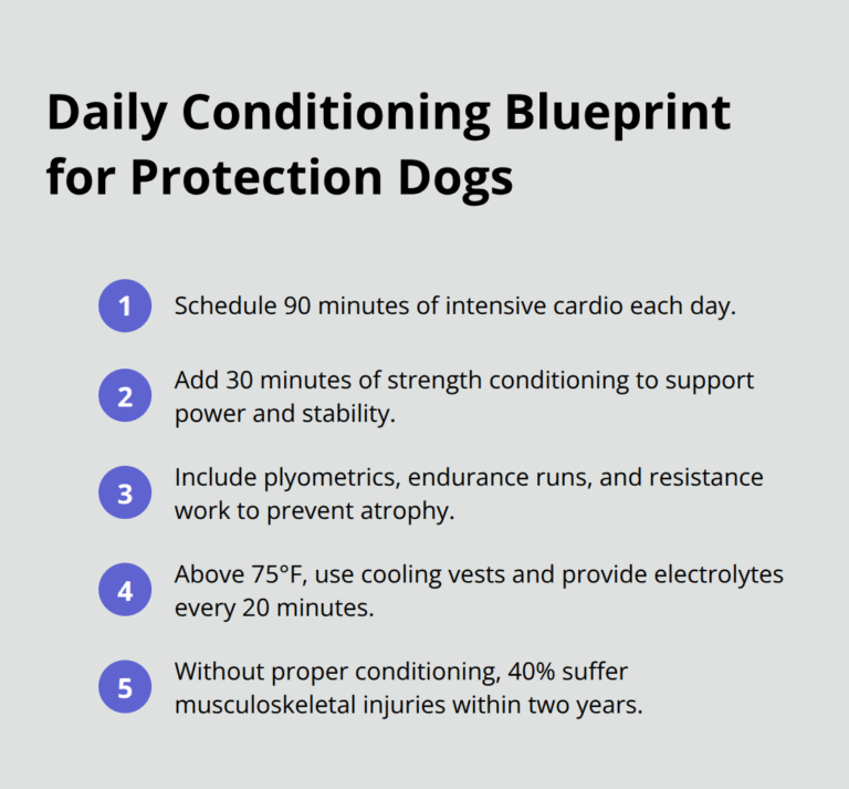 How to Keep Your Safety Dog Protected and Healthy – The Dogington Post