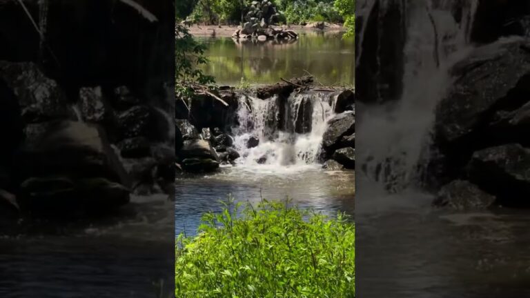 #youtubeshorts #enjoylife #nature #travel #music #usa #usalife #usatoday #philadelphia