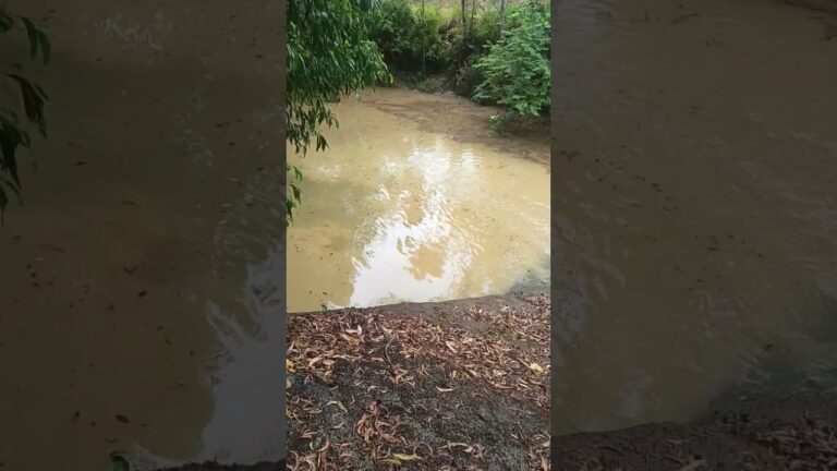 Mallaitirathu #love #song #music #arrahman #travel #usa #nature #trending #usatoday #usarmy #usashor