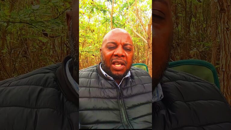 Zimbabwe business idea. $1000 per week profit. #business #investing #zimbabwe #motivational