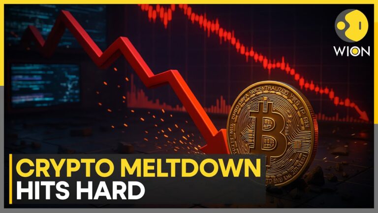 Crypto Market Loses $131B in Hours | Altcoins and Speculative Tokens Obliterated | WION