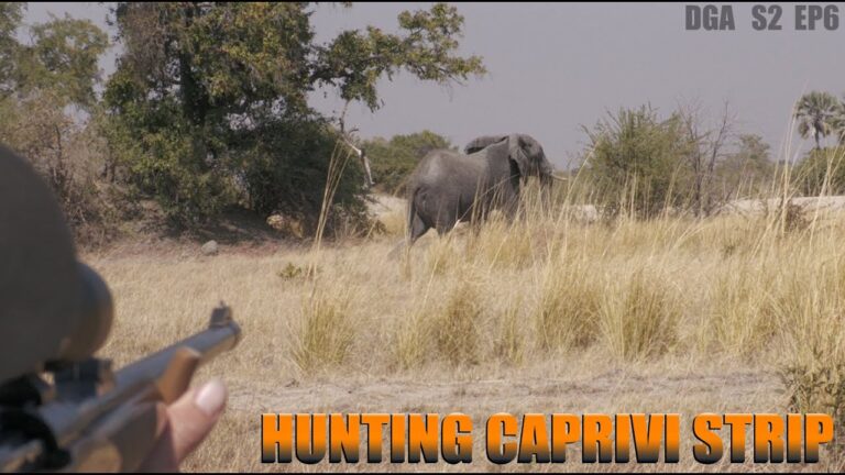 Hunting Elephant in the Caprivi Strip – Episode 6