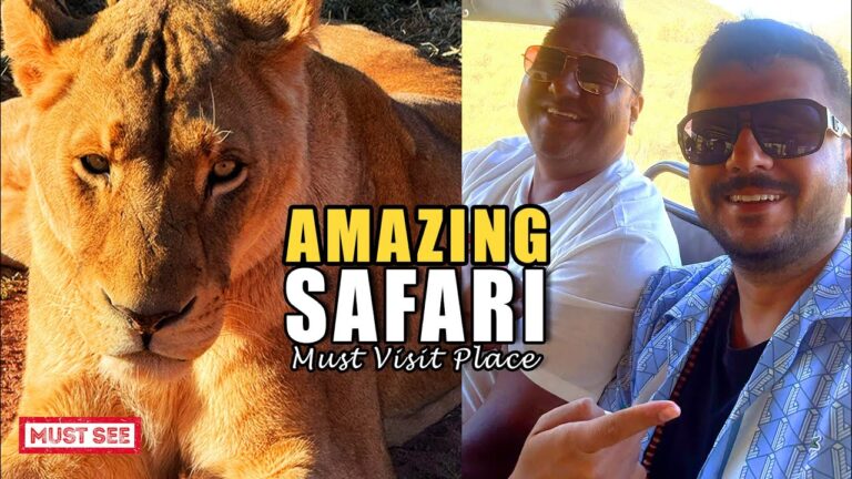 🐘 Amazing Safari Adventure Near Cape Town, South Africa! 🇿🇦