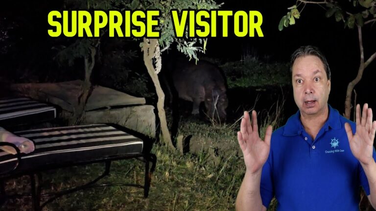 My Dream African Safari Adventure Begins!