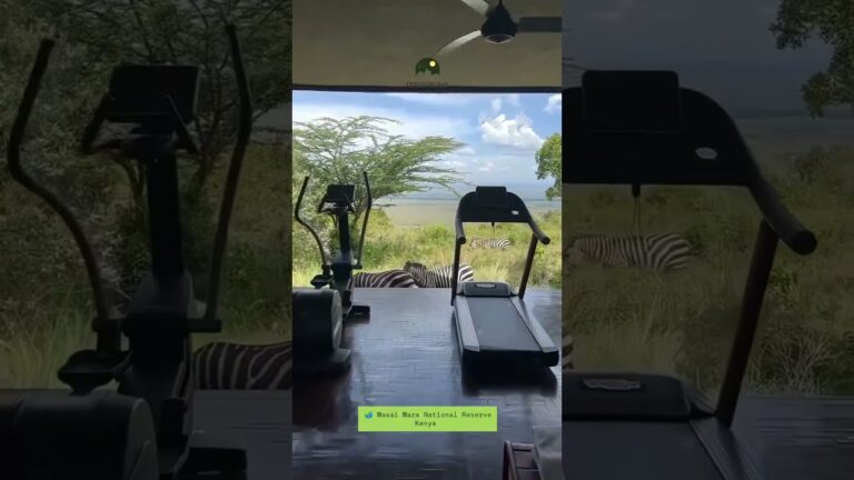 Gym with Zebra Views | Masai Mara National Reserve Kenya | Traveliology