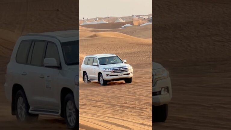 Desert safari Dubai UAE🇦🇪 for booking :+971563712440 #dubai #desert #safari #shorts #offroad#rich