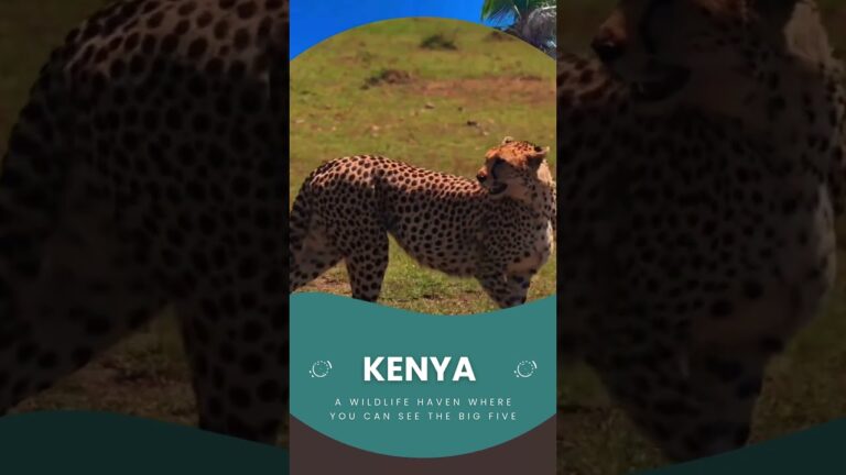 Explore Africa – Top 5 Best Destinations 2025