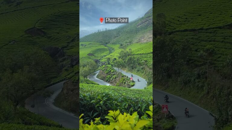 Munnar Tourist Places | Best Places to Visit In Munnar | Part 1 #munnar #kerala #travel