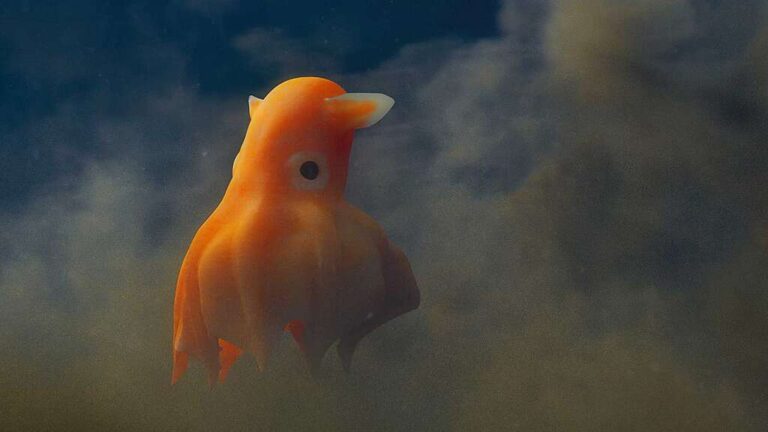 The Ocean We’re Still Discovering