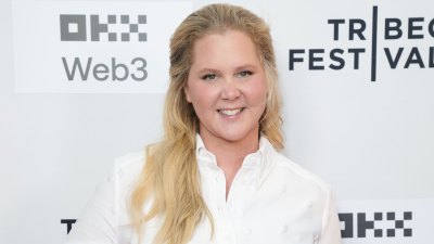Amy-Schumer-feature-GettyImages-2219738465.jpg