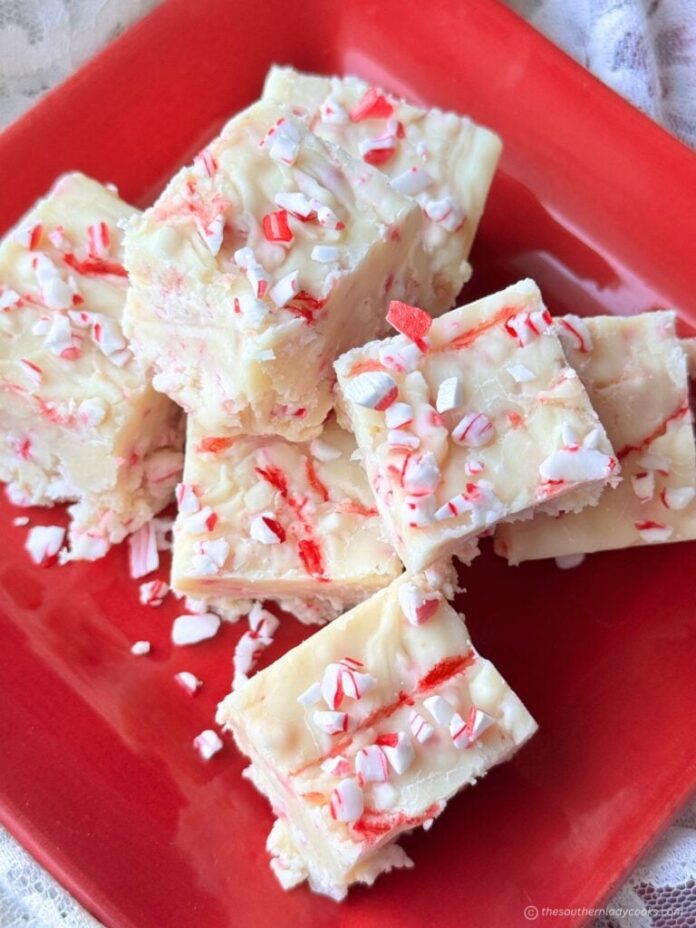 PeppermintFudgeWebsiteNew-768x1024.jpg