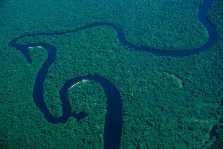 10 reasons why we need to act for the Amazon