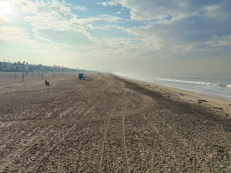 11.14 Friday Faves – The Fitnessista