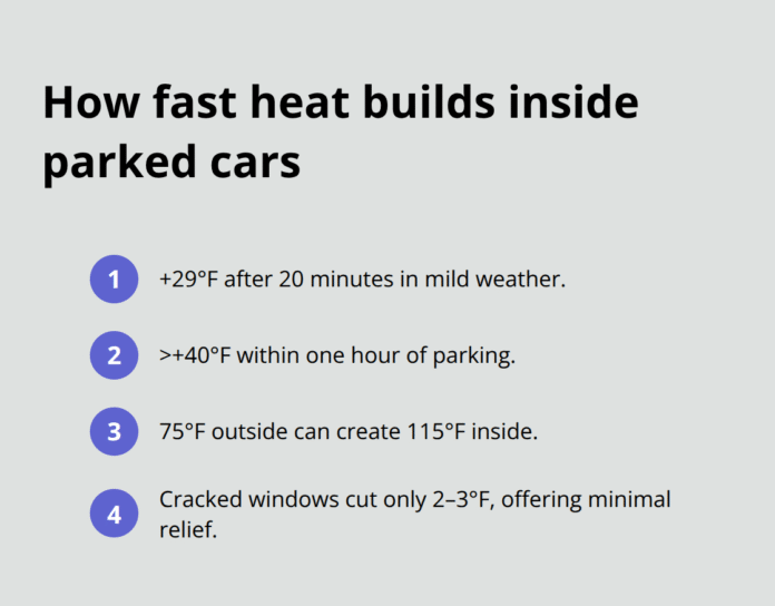 car-temperature-dog-safety-chart-infographic-1-1763417269.png