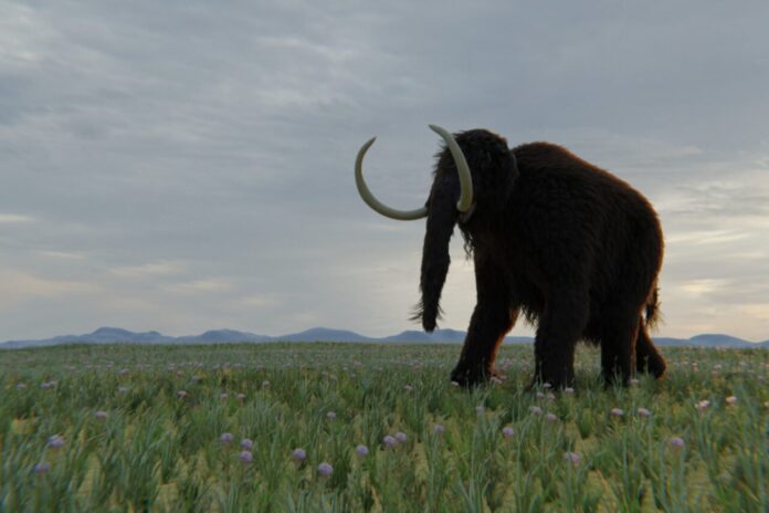 mammoth-1280x853.jpg