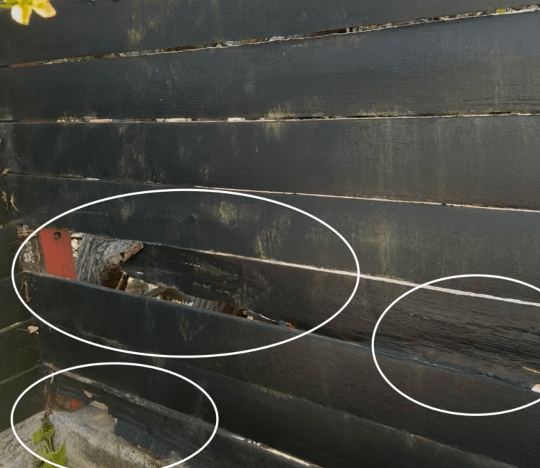 Paying For A Home Inspection Is Worth The Cost, Don’t Skip Out