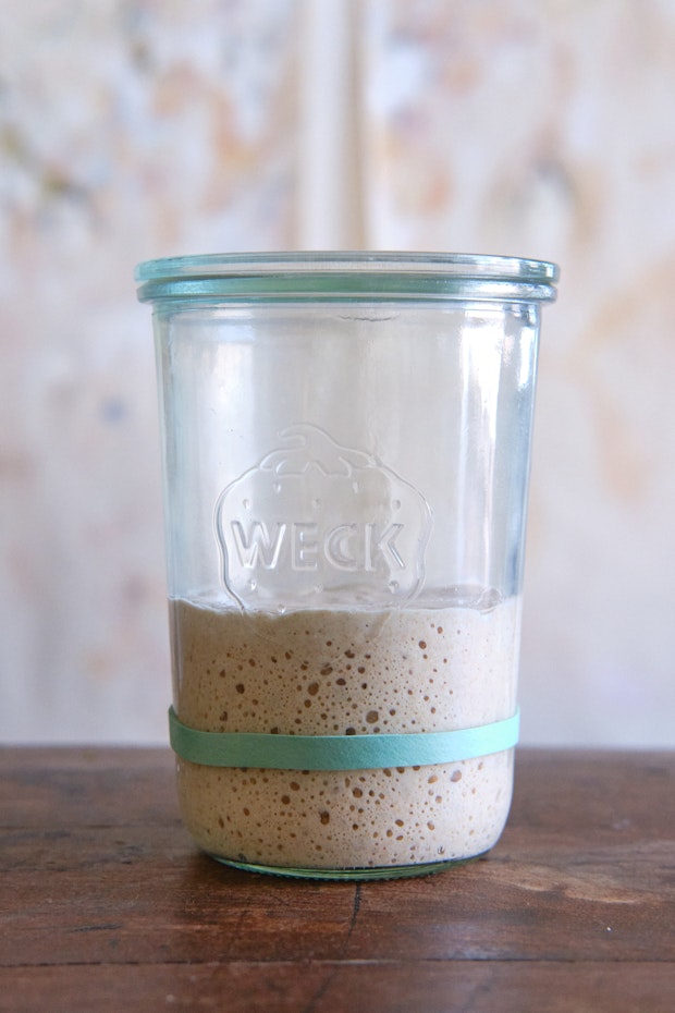 sourdough-starter-recipe-v.jpg