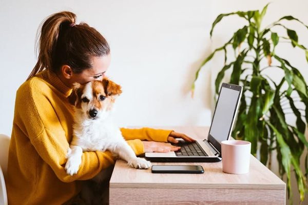 young-woman-working-on-laptop-at-home-cute-small-dog-besides._eva_blanco_Shutterstock-600x400.jpeg